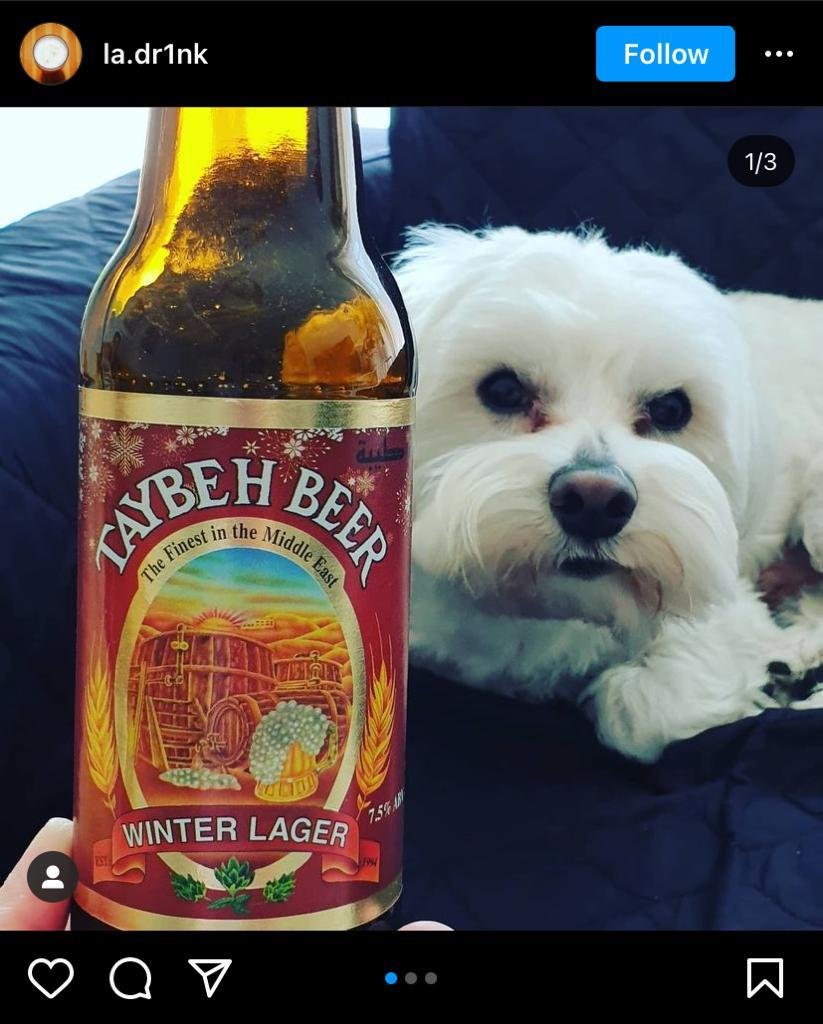 Taybeh Winter Lager